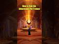 How to find the Silvermoon Pet Trainer - World of Warcraft #worldofwarcraft #twitch #wow #midnight