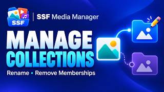 Rename WordPress Media Collections & Remove One Membership | SSF Media Manager