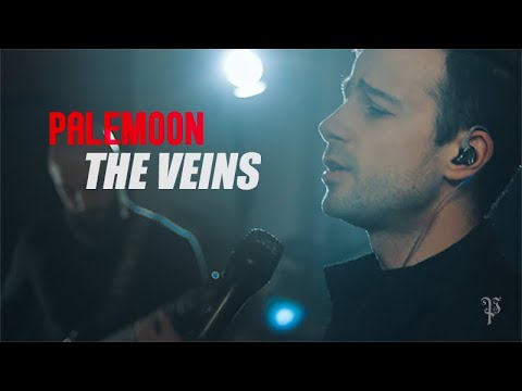Palemoon - The Veins (Studio Session)