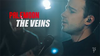 Palemoon - The Veins (Studio Session)