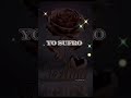 #amor