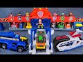 PAW Patrol to the Rescue! Paw Patrol Truck Set with ALL Pups 🐶🚨 | Paw Patrol Unboxing ASMR#pawpatrol