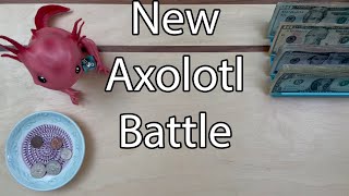 Puppy Binder | Happy Mail | New Axolotl Battle w/@boymomlovestosave | Savings Challenges | $250