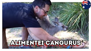 CANGURU -  Estevam Pelo Mundo