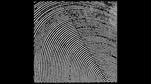 Metasplice - Arterial Protocol