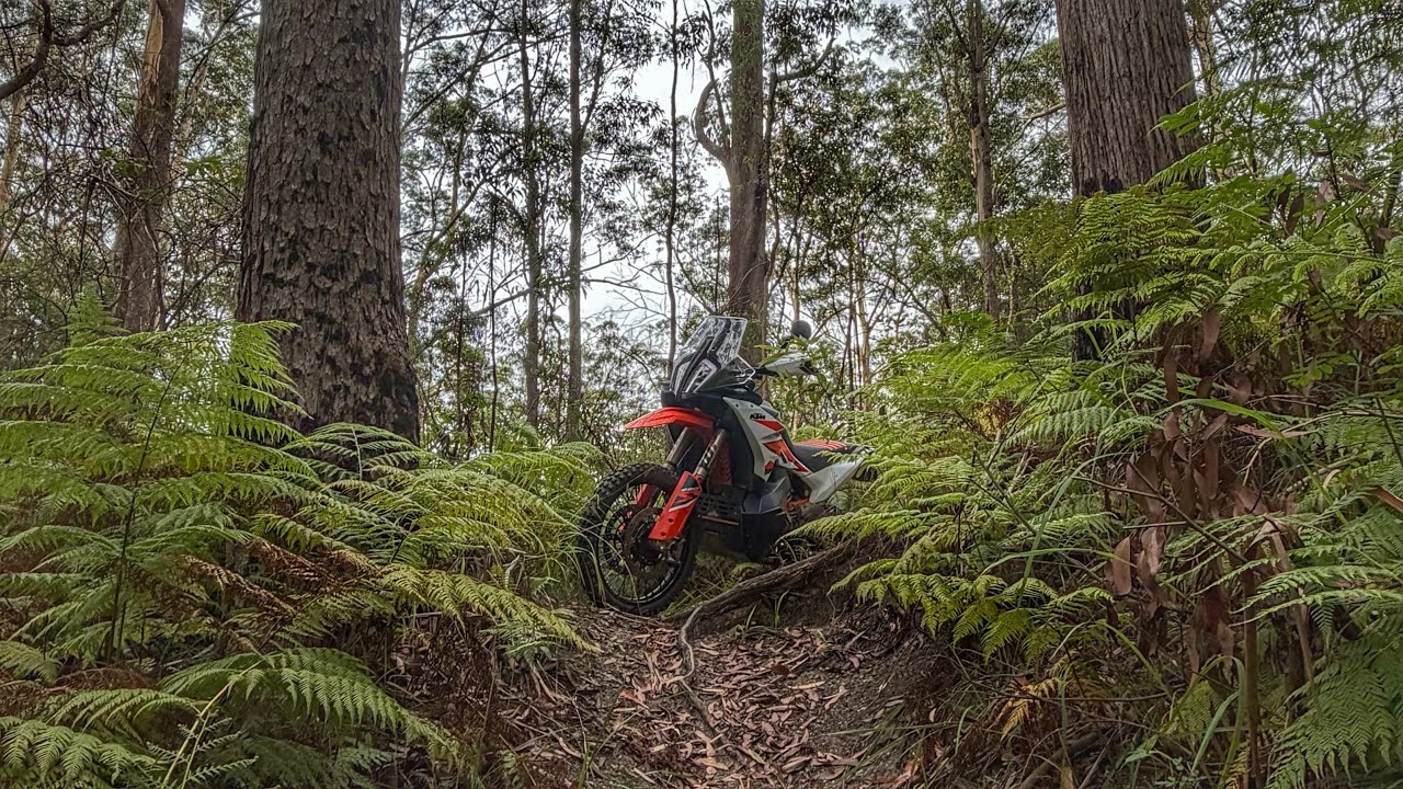 Ticking off some more enduro trails on the 890. 