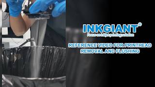 Details UV Printhead Removal and Flushing Guide