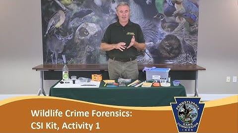 Wildlife Crime Forensics:  CSI Kit, Activity