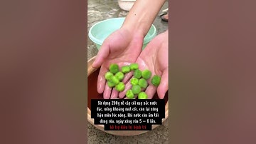 CÂY THUỐC DÂN GIAN - Cây cối xay tác dụng trị sỏi thận #thuocdangian #thaomoc #caythuocquanhta