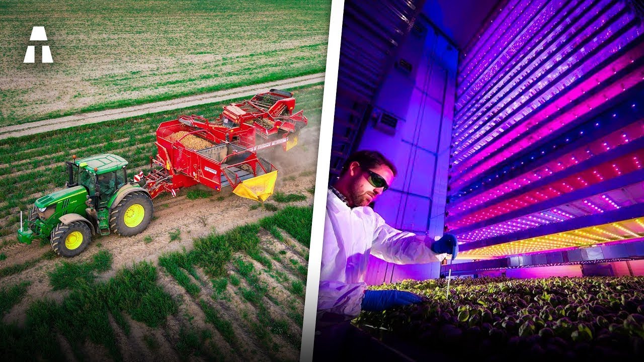 ボトムアップ農業: 垂直農業の利点を発見する