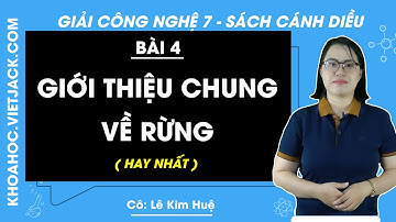Công nghệ Lớp 7 Bài 4: Giới thiệu chung về rừng | Giải Công nghệ 7 | Cánh diều (HAY NHẤT)