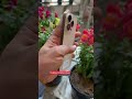📱 iPhone 16 Pro Open Box Available!🔥📍SK Mobile,#trending #viral #like #viralvideo #shorts #hisar