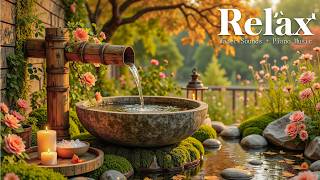 Relaxing Music for Deep Sleeping 🌿 Soft Piano Music for Work, Study & Focus | Meditation Music screenshot 5