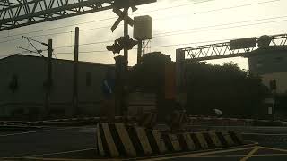 [1110725]新北市樹林區俊英俊平交道 242次柴聯自強號