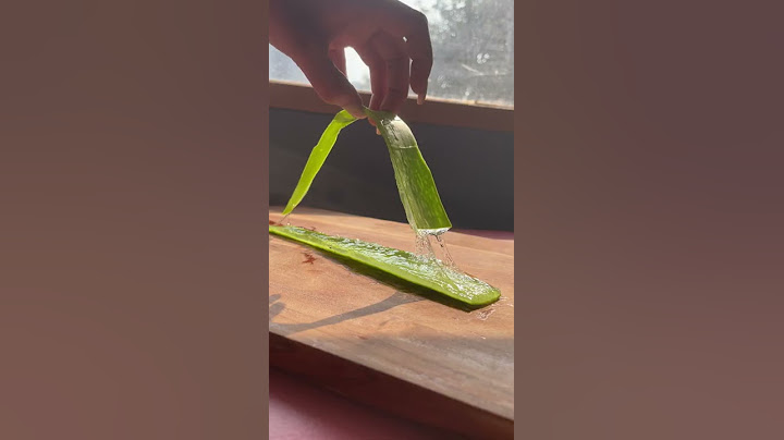 Make PURE Aloe Vera Gel At HOME | With NO CHEMICALS #Shorts