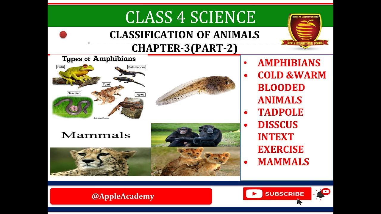 Watch CLASS 4 SCI CHP 3 CLASSIFICATION OF ANIMALS PART 2 on YouTube Watch CLASS 4 SCI CHP 3 CLASSIFICATION OF ANIMALS PART 2 on YouTube