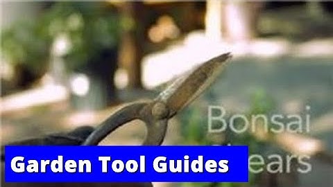Garden Tool Guides : How to Use Bonsai Shears