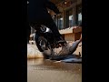 Penguin Bike Skids into Fish Market | Chaos Meets Temptation | Nebula Shots