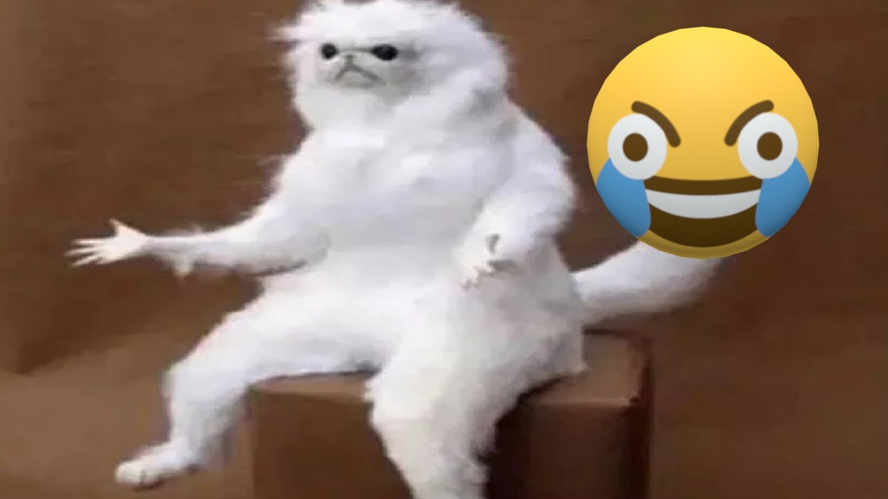 TENTE NÃO RIR Nível ABSURDO 😂💀 [999.99 IMPOSSÍVEL]😱 Melhores Memes e Vídeos Engraçados 2025 😆