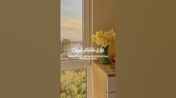 | قرآن كريم راحة نفسية | 🌹🤍 اللهم انصر اهلنا في فلسطين 🇵🇸🌷#قرآن #فلسطين_حرة