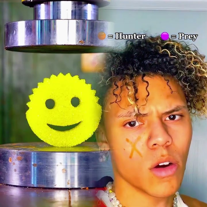 pov: everyone is either Hunter or Prey.. (PT. 7❗️)  #pov #fyp #hunter #prey