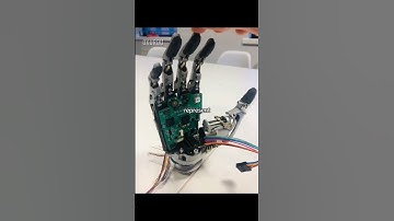 The dream #shorts #coding #python #cybersecurity