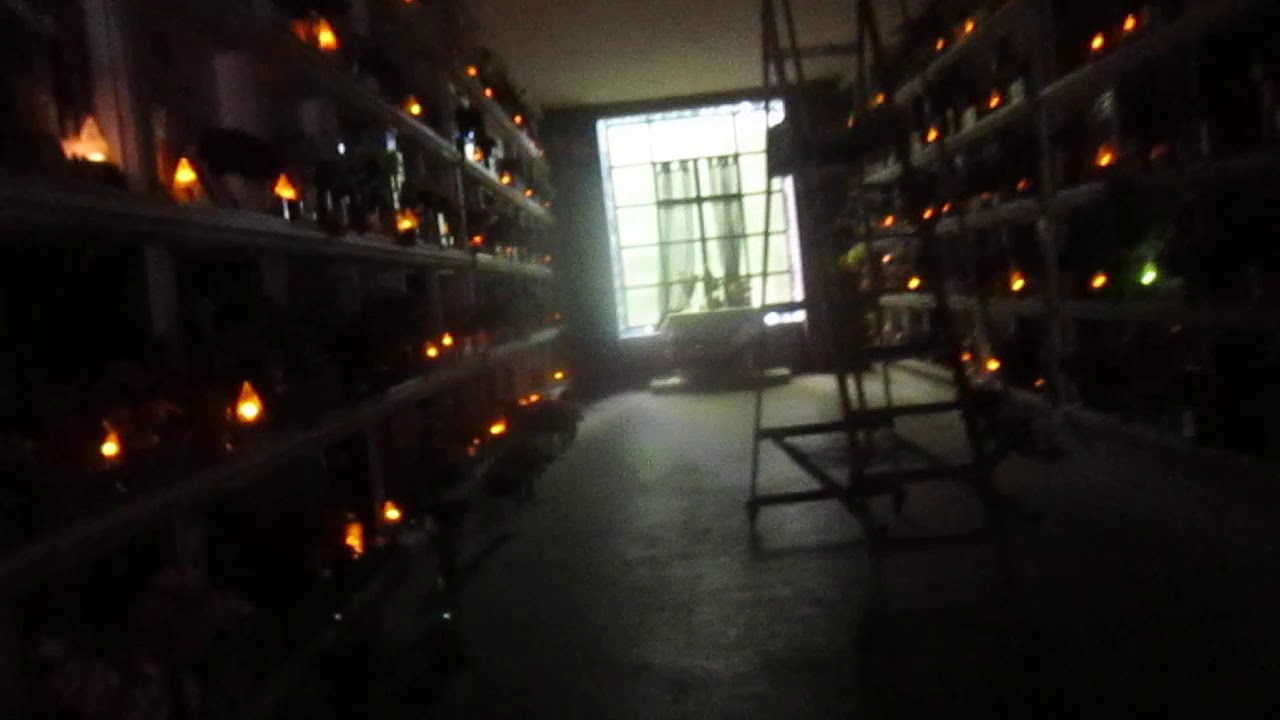 La tomba di Oreste Lionello e  di   Alida Valli