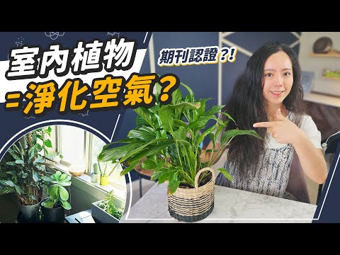 隣の騒音に悩むあなたへ！防音植物で作る静かな庭の作り方と選び方