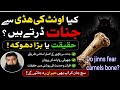 Do Jinn Fear Camel Bones? Truth Revealed! Kiya jinnat onth ki hadi se derte han? Muhammad Ruman