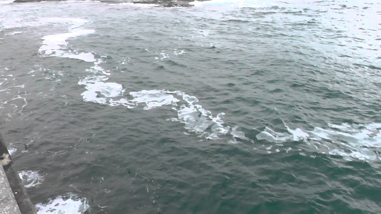 海釣り徹底攻略 ルアーで釣れない人の問題点とその対策とは 全国釣りで回る青年が教えるフィッシング情報