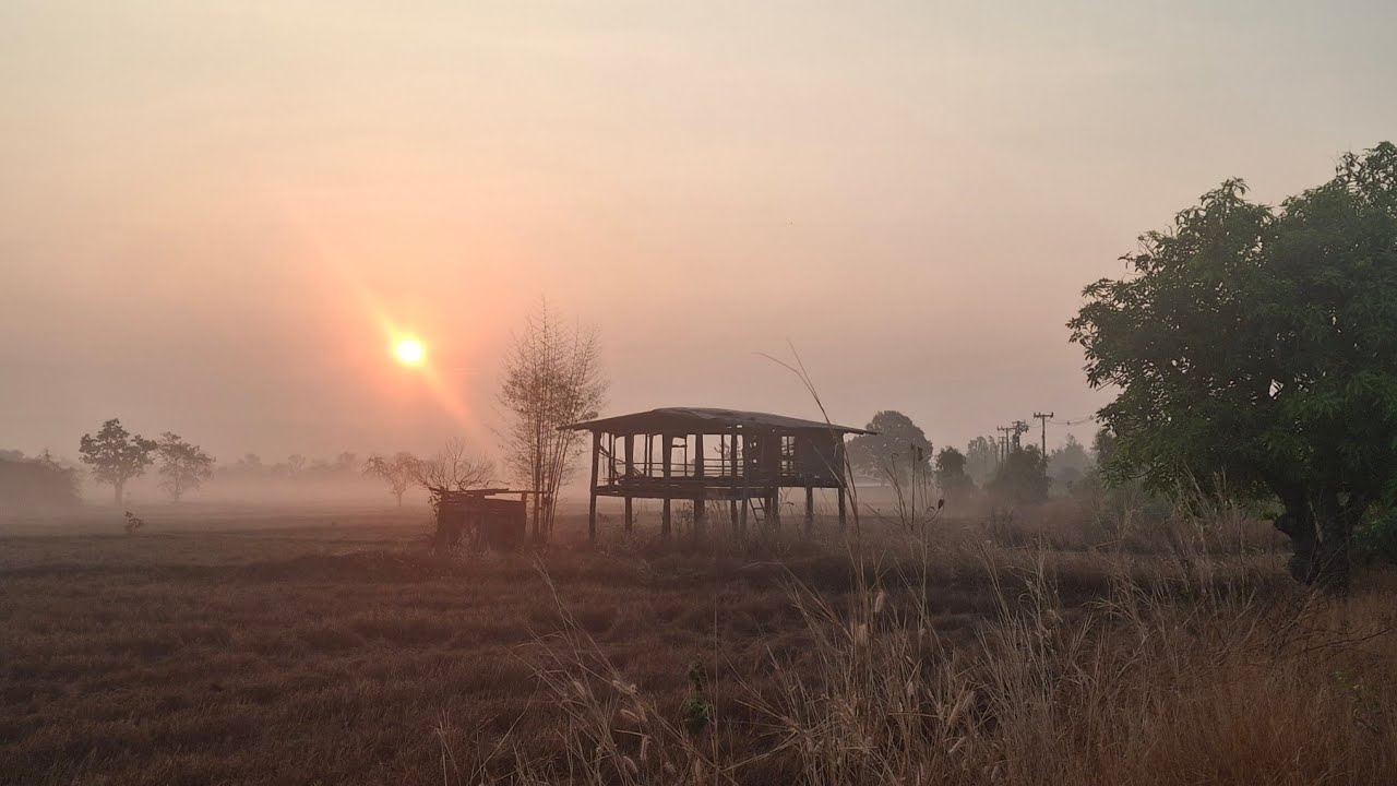 วิถีชีวิตชาวบ้าน ชนบทอีสานใต้ บ้านนาแวง อำเภอเขมราฐ จังหวัดอุบลราชธานี #ชนบทไทย