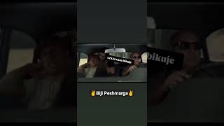 #basur #bakur #rojhelat #rojava #peshmarga #kurdistan