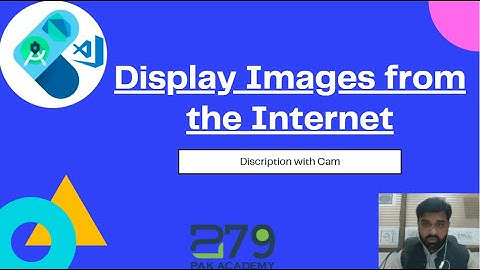 flutter 2.0 || display images from the internet