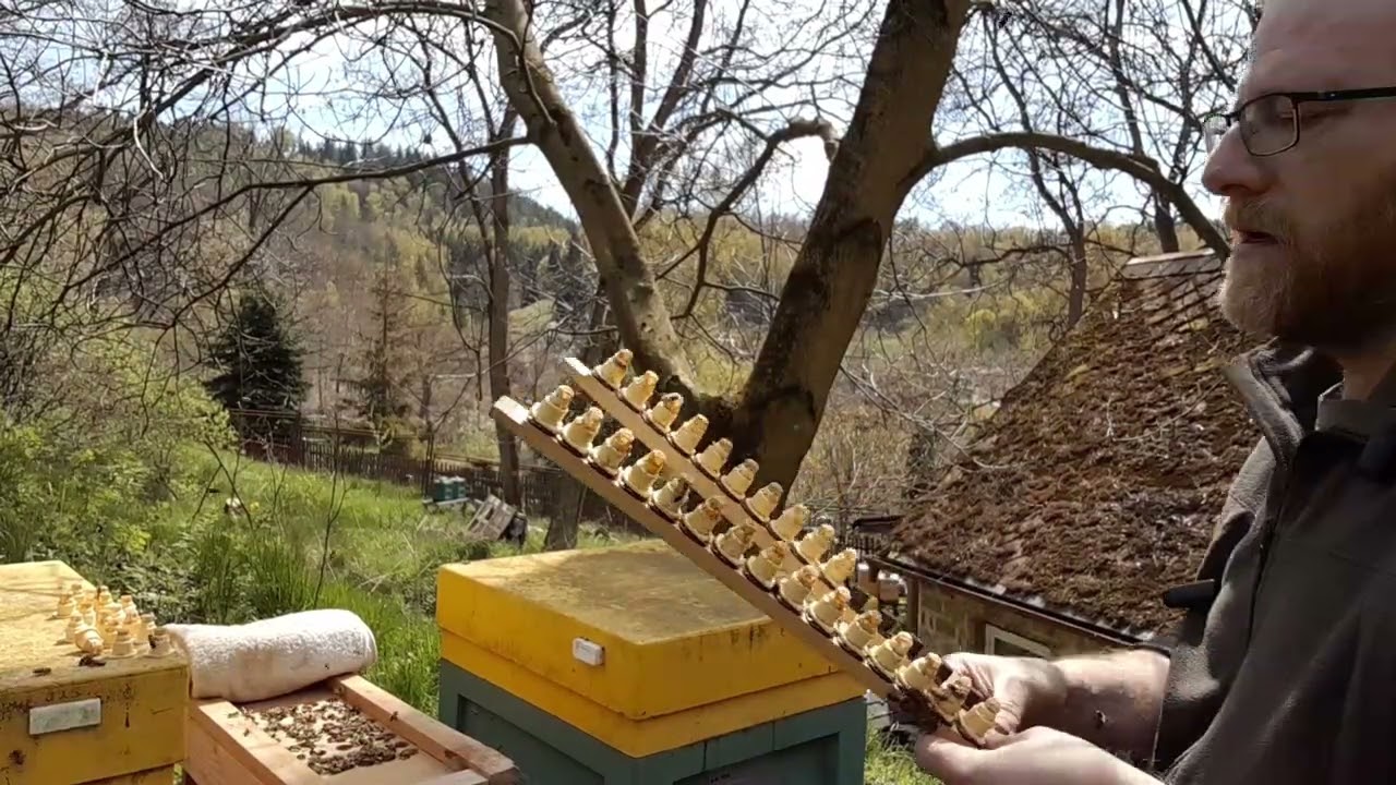 Chov matek - a je to tady.. první série roku 2026