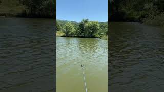 Рыбачок 🎣