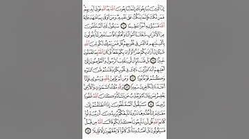 سورة الفتح آية ١٠-١٥ #اكسبلور#القران #القاري attaullahfarooqi5219 عطاء الله فاروقي من الدوحة قطر