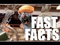 Pixar Fast Facts: Ratatouille