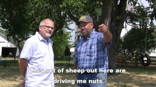 Interview With A Shepherd