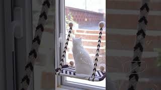 Colox Mix Macrame Cat Shelf-Designed And Handmade By Macramebeautiful
