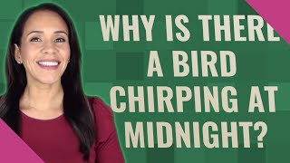 Why is there a bird chirping at midnight?