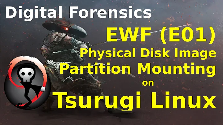 Physical Image and Partition Mounting in Tsurugi Linux