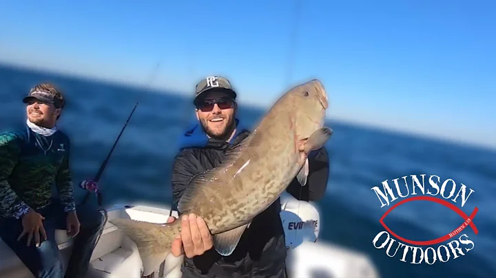 BIG GAG GROUPER, HOGFISH, AMBERJACK fishing in Florida