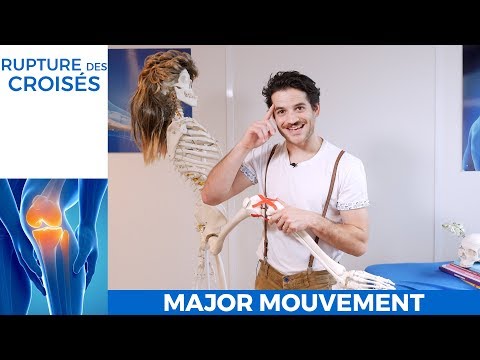 Vidéo: Comment Développer Des Ligaments