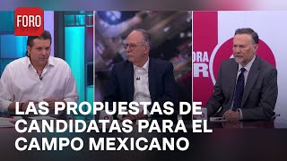 ¿Cómo perciben las candidatas presidenciales al campo mexicano? - Es la Hora de Opinar