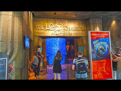 The Lost Chambers Aquarium – Atlantis, Dubai 4K