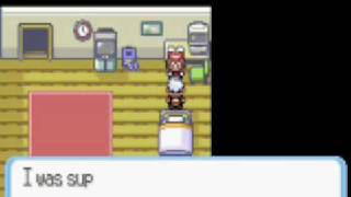 My First Pokemon Hack Net Worth