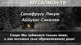 СУРА РАХМАН ПЕРЕД СНОМ УБИРАЕТ ВЕСЬ НЕГАТИВ И УСТАЛОСТЬ - АЛЛАХ ДАЕТ МИЛОСТЬ И ПРОЩЕНИЕ