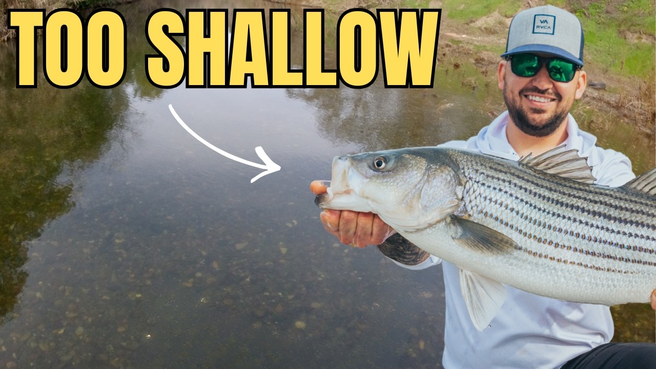 I Took My Boat Where It Didn't Belong… [Big Striper Reward]