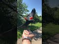 Hand feeding bird friend