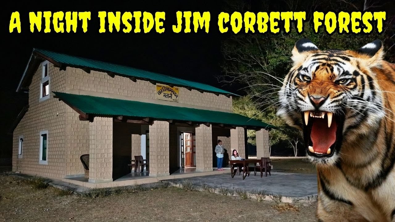 Tiger Ki Dahaad ke beech Guzari Jim Corbett mein ek Raat | Malani FRH | Living in Core Forest